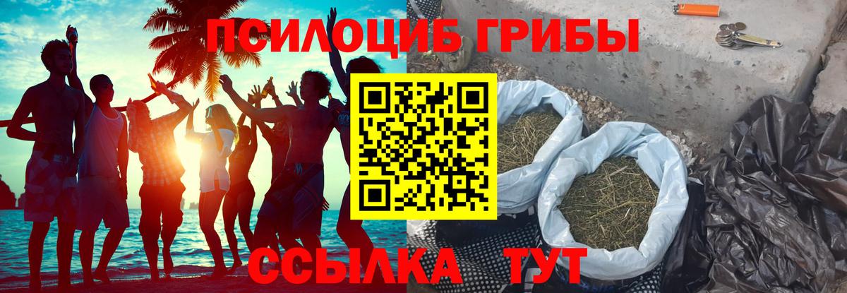 Псилоцибиновые грибы ЛСД Всеволожск